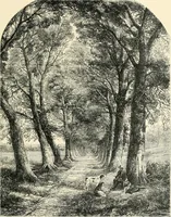 An illustration from British painters; with eighty examples of their work engraved on wood (1881)