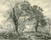 An illustration from British painters; with eighty examples of their work engraved on wood (1881)