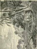 An illustration from British painters; with eighty examples of their work engraved on wood (1881)