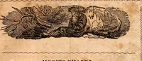 Picture 13 of 17 from Brother Jonathan's almanac, for the year of our Lord 1847 (1846), leaf 28