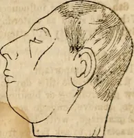 An illustration from Broughton's monthly planet reader and astrological journal (1860)