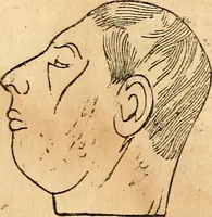 An illustration from Broughton's monthly planet reader and astrological journal (1860)