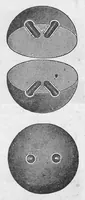 An illustration from Brunswick Bowling Supplies 1915 (1915)