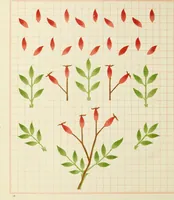 Picture 4 of 27 from Brushwork : elementary brush-forms (1903), leaf 21