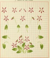 Picture 12 of 27 from Brushwork : elementary brush-forms (1903), leaf 37