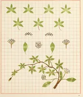 An illustration from Brushwork : elementary brush-forms (1903)