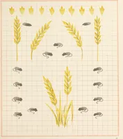 Picture 21 of 27 from Brushwork : elementary brush-forms (1903), leaf 58