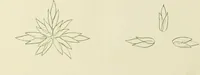 An illustration from Brushwork : elementary brush-forms (1903)