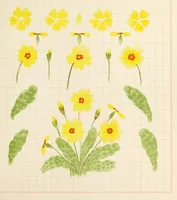 An illustration from Brushwork : elementary brush-forms (1903)