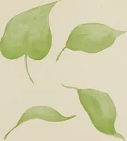 Picture 11 of 14 from Brush work for kindergarten and primary schools (1896), leaf 40