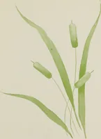 Picture 12 of 14 from Brush work for kindergarten and primary schools (1896), leaf 44
