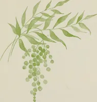 Picture 13 of 14 from Brush work for kindergarten and primary schools (1896), leaf 46