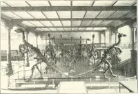 An illustration from Bruxelles (1910)