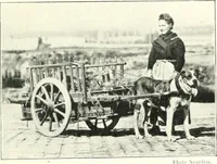 An illustration from Bruxelles (1910)