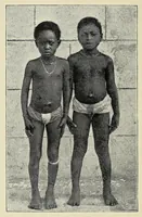 An illustration from Bryan Roe : a soldier of the cross : missionary travels and adventure in West Central Africa (1896)