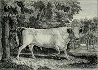 An illustration from Bryan's dictionary of painters and engravers (1903)