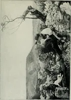 An illustration from Bryan's dictionary of painters and engravers (1903)