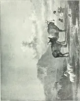 An illustration from Bryan's dictionary of painters and engravers (1903)