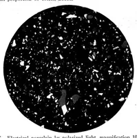 Picture 10 of 15 from BSTJ 3: 1. January 1924: Photomicrography and Technical Microscopy in Its Application to Telephone Apparatus. (Lucas, Francis F.) (1924), leaf 39