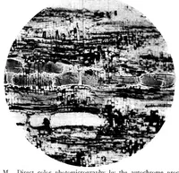 Picture 15 of 15 from BSTJ 3: 1. January 1924: Photomicrography and Technical Microscopy in Its Application to Telephone Apparatus. (Lucas, Francis F.) (1924), leaf 49