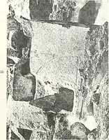 An illustration from Bubastis (1887-1889) (1891)