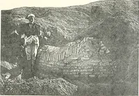 An illustration from Bubastis (1887-1889) (1891)