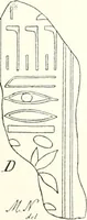 An illustration from Bubastis (1887-1889) (1891)