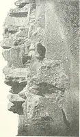 An illustration from Bubastis (1887-1889) (1891)