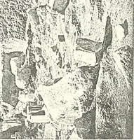 An illustration from Bubastis (1887-1889) (1891)