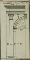 An illustration from The builder's director, or bench-mate : being a pocket-treasury of the Grecian, Roman and Gothic orders of architecture ... : wherein the orders of Andrea Palladio are truly laid down, free from erroneous measures ... (1751)