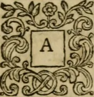 An illustration from The builder's director, or bench-mate : being a pocket-treasury of the Grecian, Roman and Gothic orders of architecture ... : wherein the orders of Andrea Palladio are truly laid down, free from erroneous measures ... (1751)