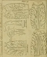 An illustration from The builder's jewel, or, The youth's instructor and workman's remembrancer : explaining short and easy rules, made familiar to the meanest capacity, for drawing and working (1768)