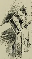 An illustration from The builders of Florence (1907)