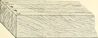 An illustration from The builder's practical director; or, Buildings for all classes, containing plans, sections and elevations for the erection of cottages, villas, farm buildings, dispensaries, public schools, &c., with detailed estimates, quantities, prices, &c. .. (1855)