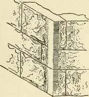 An illustration from Building construction and superintendence, by F.E. Kidder ... (1896)