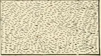 An illustration from Building construction and superintendence, by F.E. Kidder ... (1896)