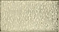 An illustration from Building construction and superintendence, by F.E. Kidder ... (1896)