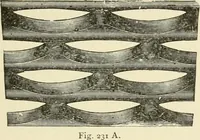 An illustration from Building construction and superintendence, by F.E. Kidder ... (1896)
