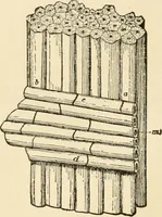 An illustration from Building construction and superintendence, by F.E. Kidder ... (1896)