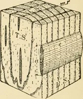 An illustration from Building construction and superintendence, by F.E. Kidder ... (1896)