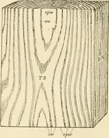 An illustration from Building construction and superintendence, by F.E. Kidder ... (1896)