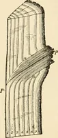 An illustration from Building construction and superintendence, by F.E. Kidder ... (1896)