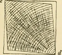 An illustration from Building construction and superintendence, by F.E. Kidder ... (1896)