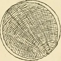 An illustration from Building construction and superintendence, by F.E. Kidder ... (1896)
