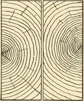 An illustration from Building construction and superintendence, by F.E. Kidder ... (1896)