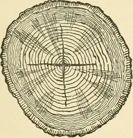An illustration from Building construction and superintendence, by F.E. Kidder ... (1896)