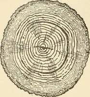 An illustration from Building construction and superintendence, by F.E. Kidder ... (1896)