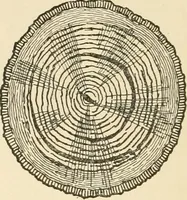 An illustration from Building construction and superintendence, by F.E. Kidder ... (1896)