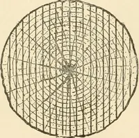 An illustration from Building construction and superintendence, by F.E. Kidder ... (1896)