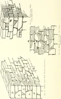 An illustration from Building construction and superintendence (1909)